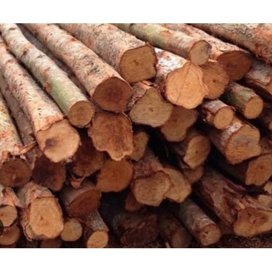 ไม้ยูคา - ไม้ไผ่ นิมิตใหม่ วัสดุก่อสร้าง - ขายไม้ยูคาราคาถูกนิมิตใหม่